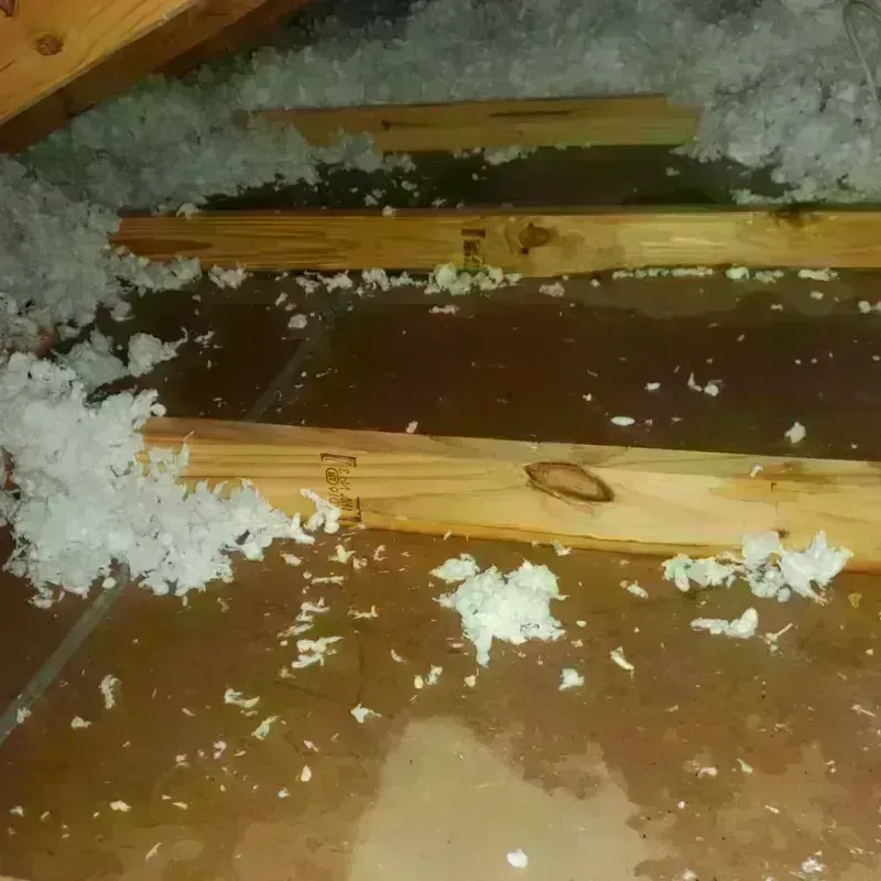 Attic Water Damage in Louisburg, KS