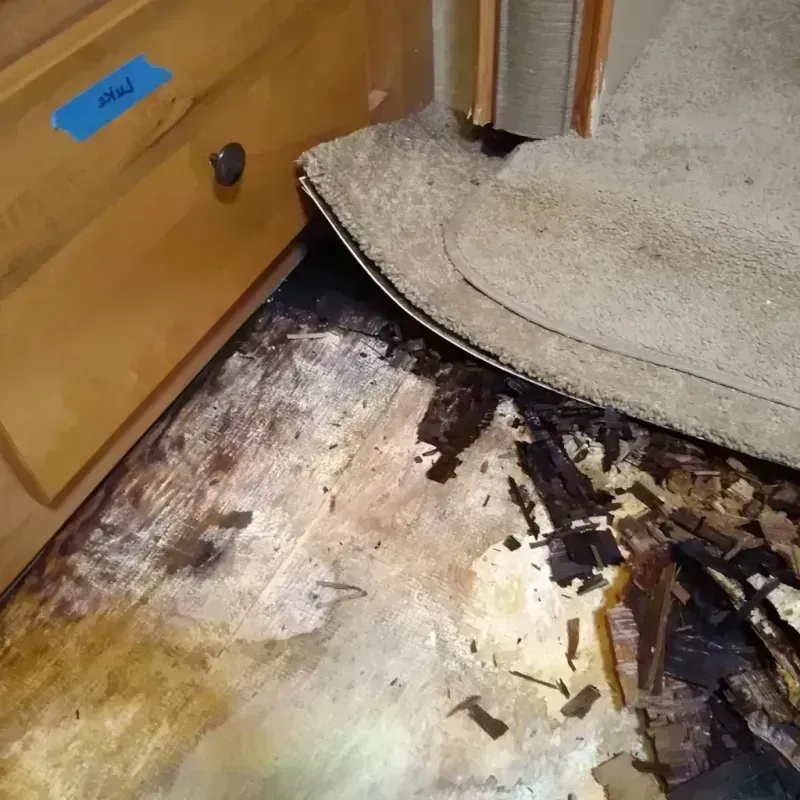 Best Wood Floor Water Damage Service in Louisburg, KS